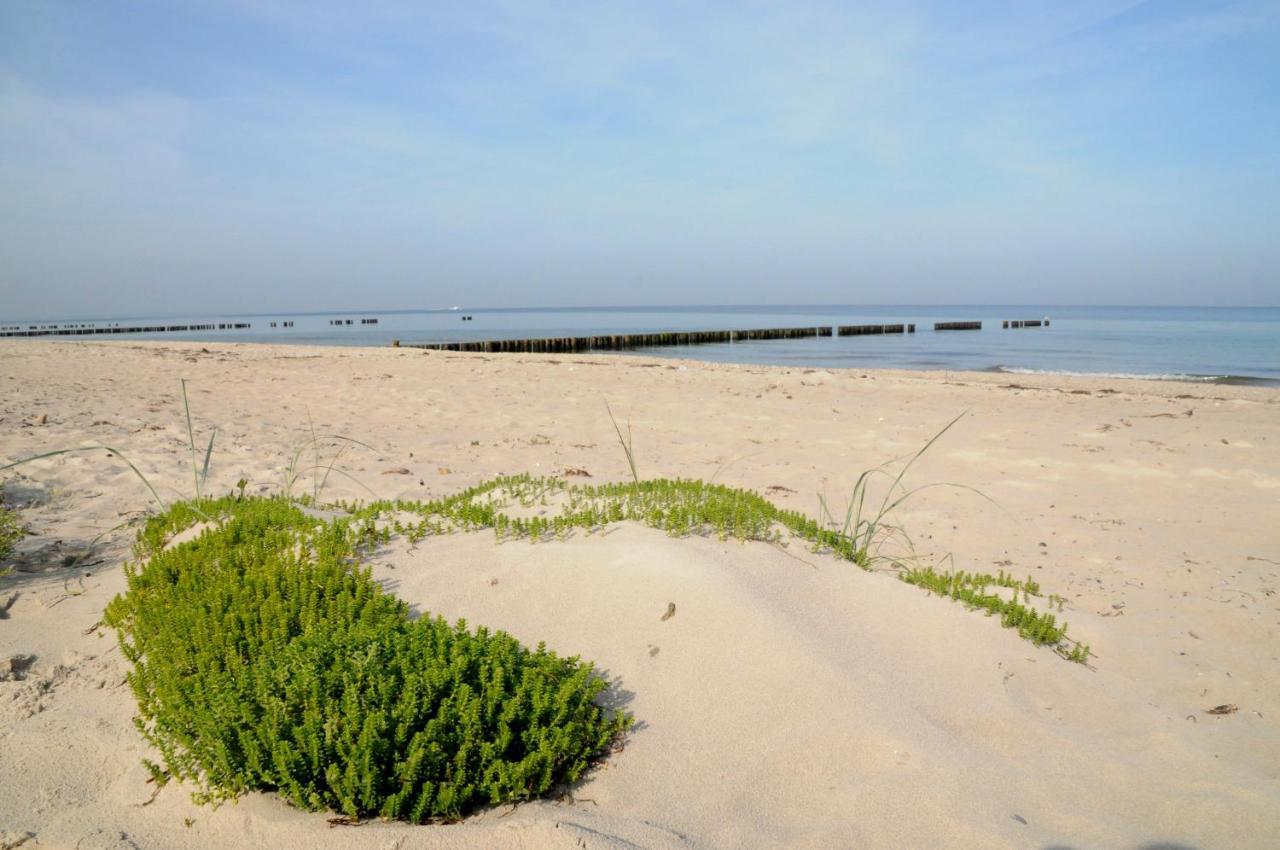 Strandhafer Aparthotel Rostock Exterior photo